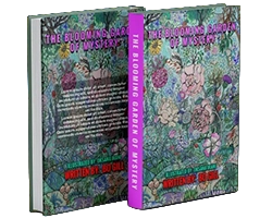 A book cover designed by The Authors Tree