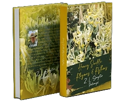A book cover designed by The Authors Tree