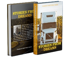 A book cover designed by The Authors Tree